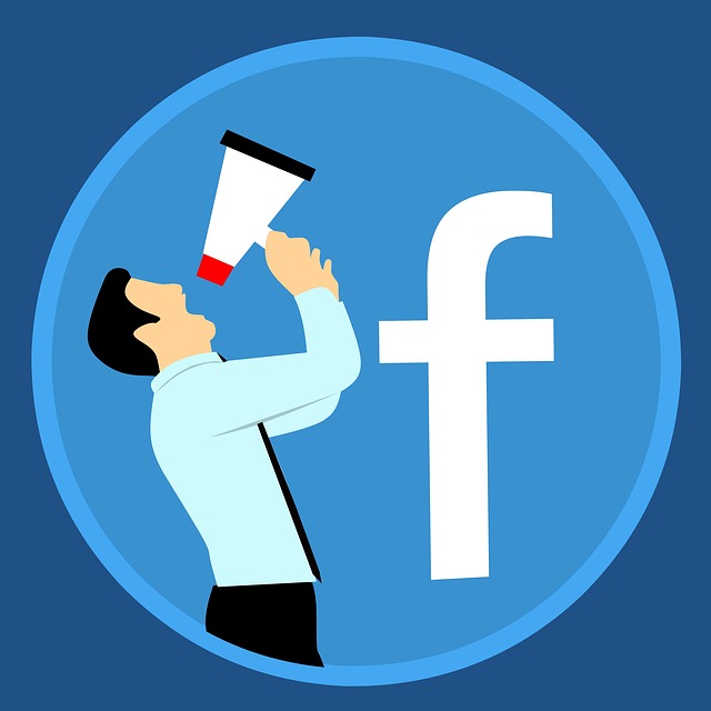 Campanii PPC 4 campanii ppc, promovare facebook