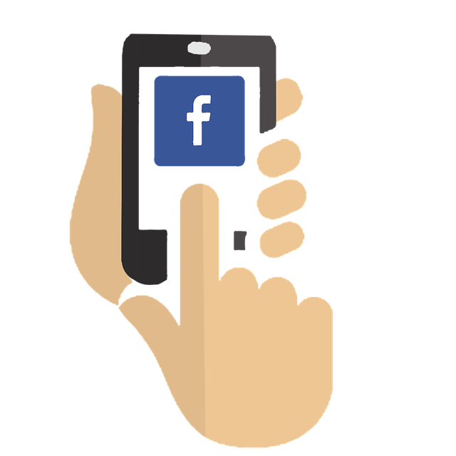 Campanii PPC 1 campanii ppc, campanii facebook ads trafic